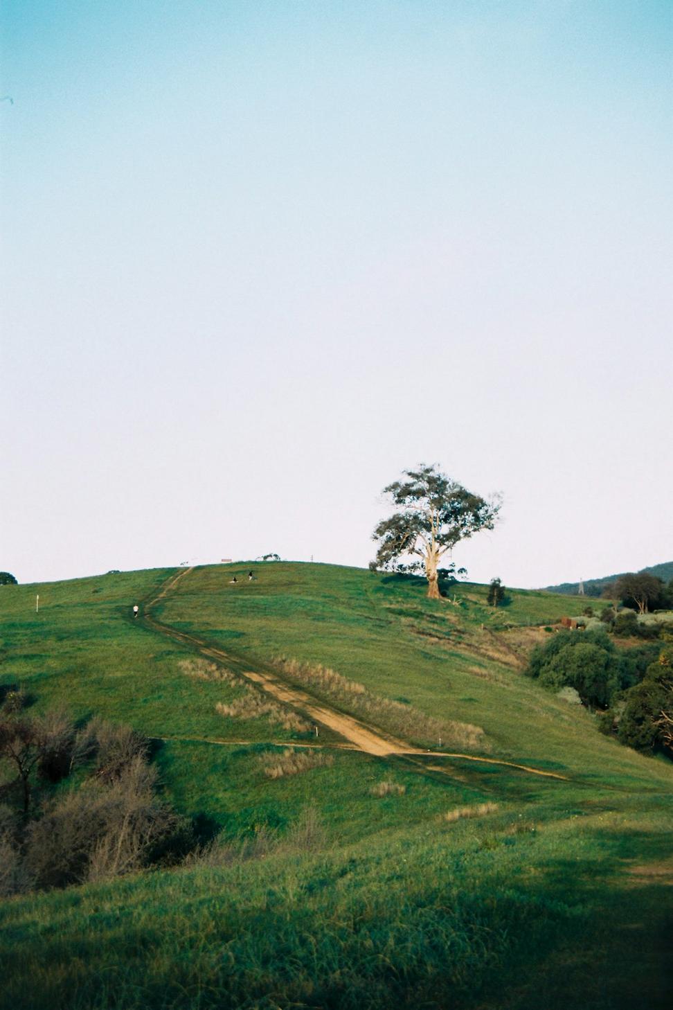 Forest Edge Estate